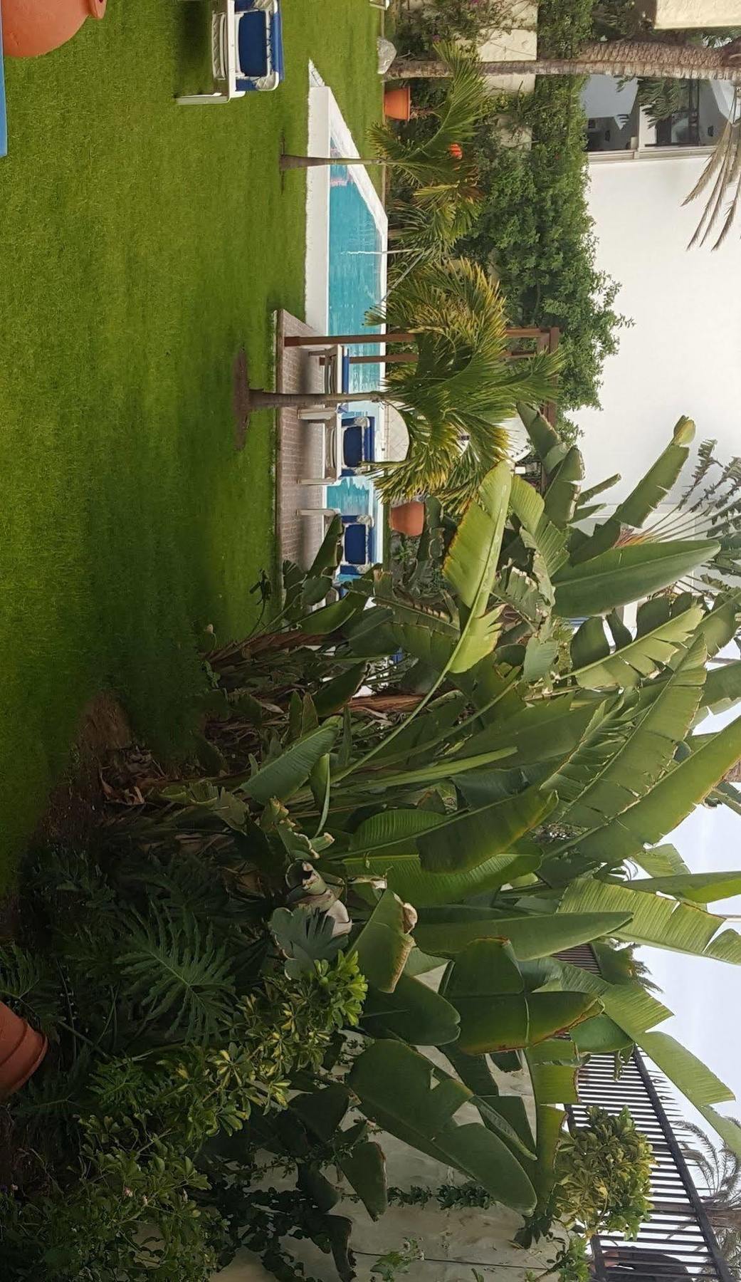 Апартаменти Alsol Nogal- Adults Only Плайя-дель-Інглес Екстер'єр фото